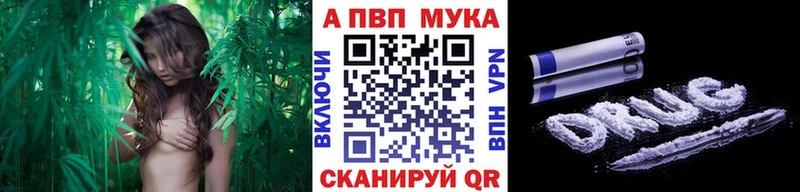 Виды наркоты Георгиевск Псилоцибиновые грибы  Alpha PVP  Мефедрон  МАРИХУАНА  Гашиш  АМФ 