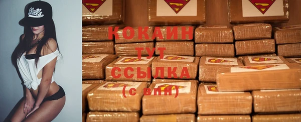 spice Арсеньев