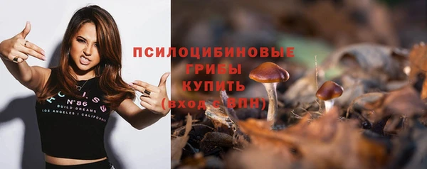spice Арсеньев