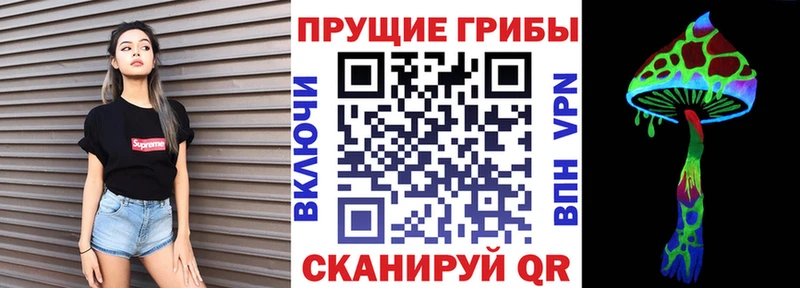 Галлюциногенные грибы MAGIC MUSHROOMS  Георгиевск 
